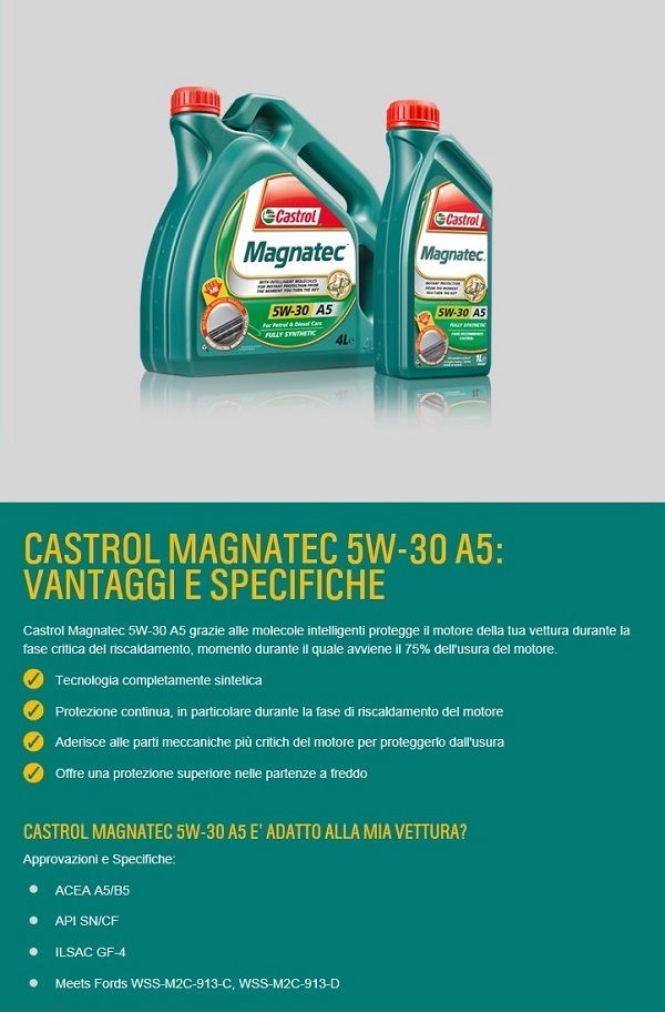 Manutenzione Motore